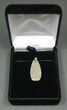 Gorgeous, Agatized Dinosaur Bone (Gembone) Pendant #84758-2